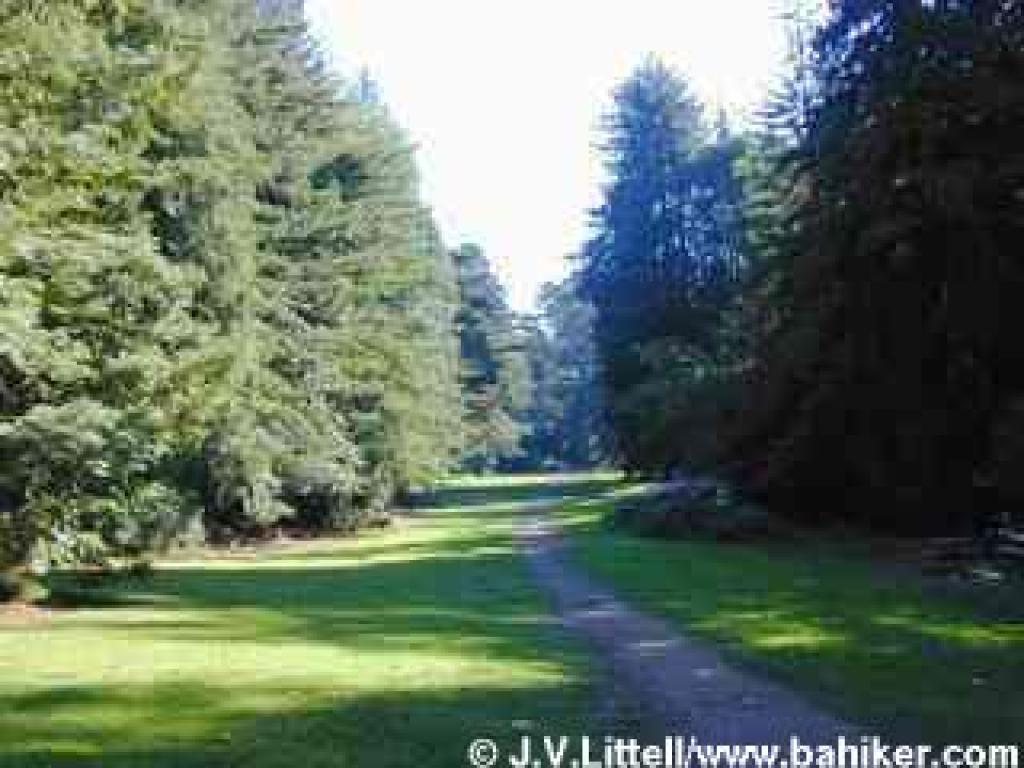 Upper Meadow