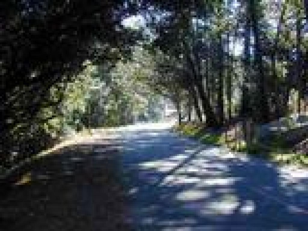 Route backtracks along Sanborn Drive