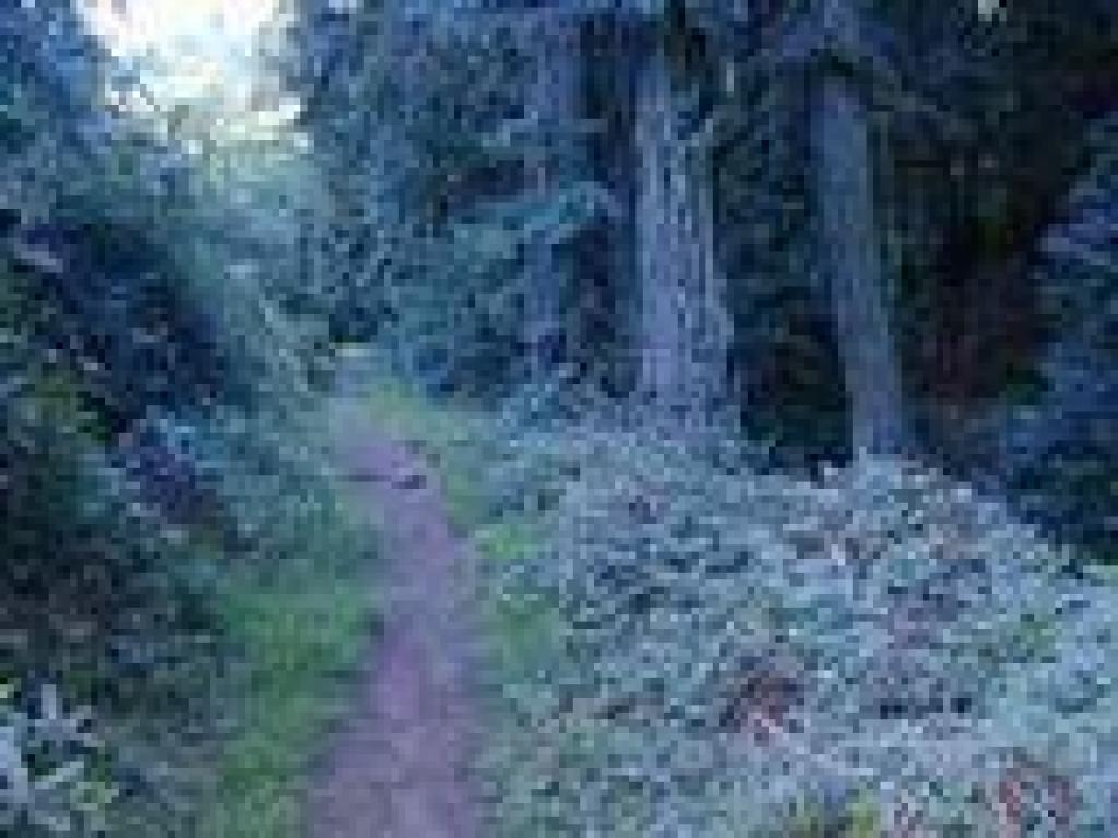 Trail climbs through a small cayon