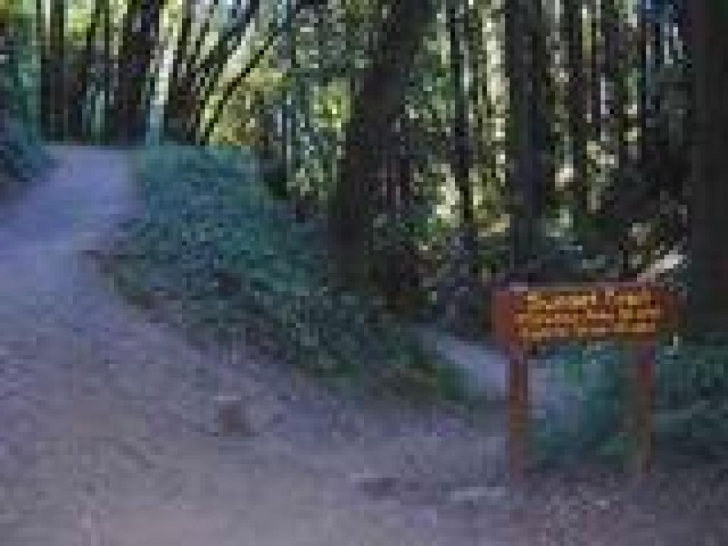 Looking back to the junction