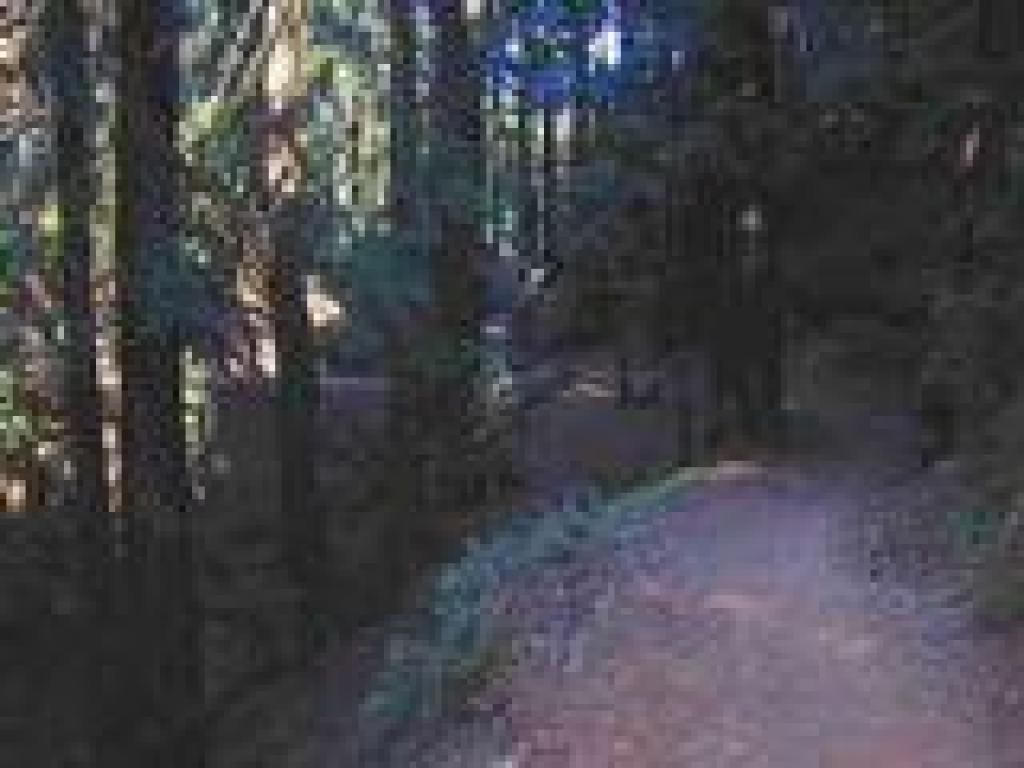 Approaching junction