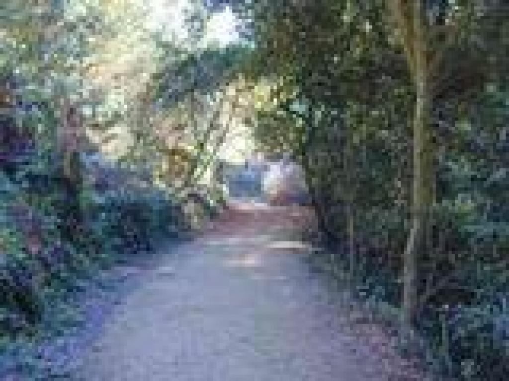 Back on Sunset Trail