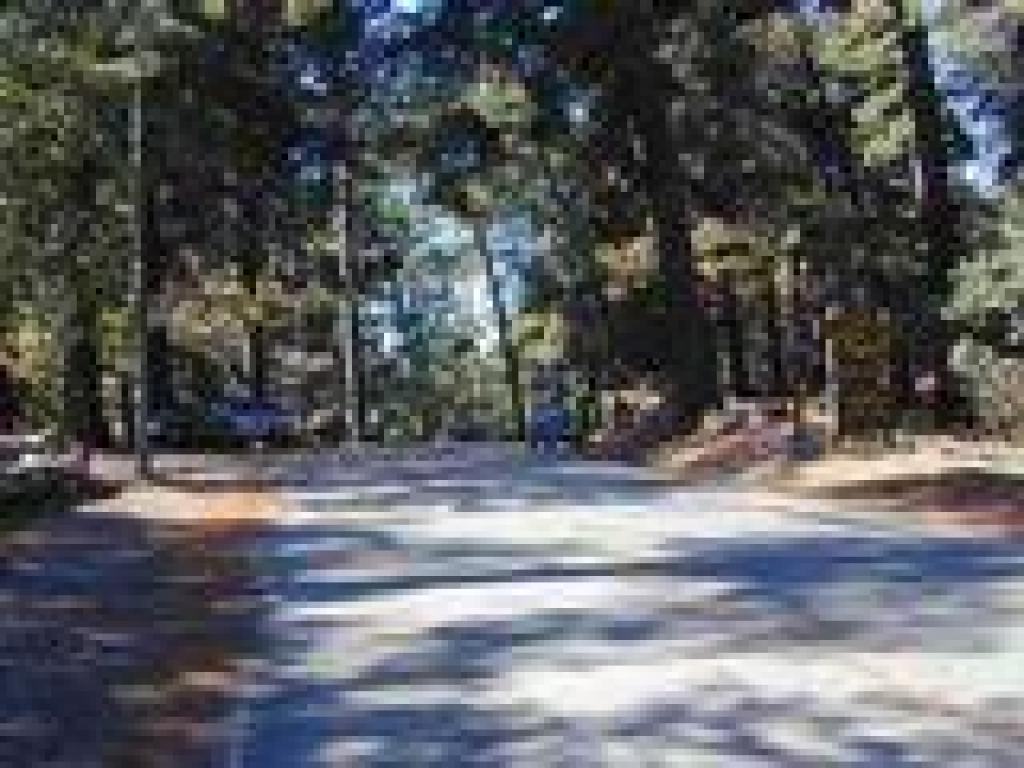 Returning to the trailhead