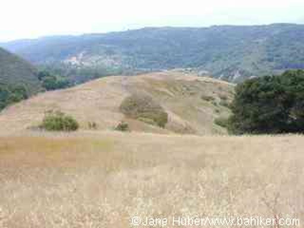 View from Black Oak Trail