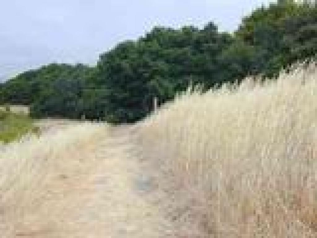 Approaching junction