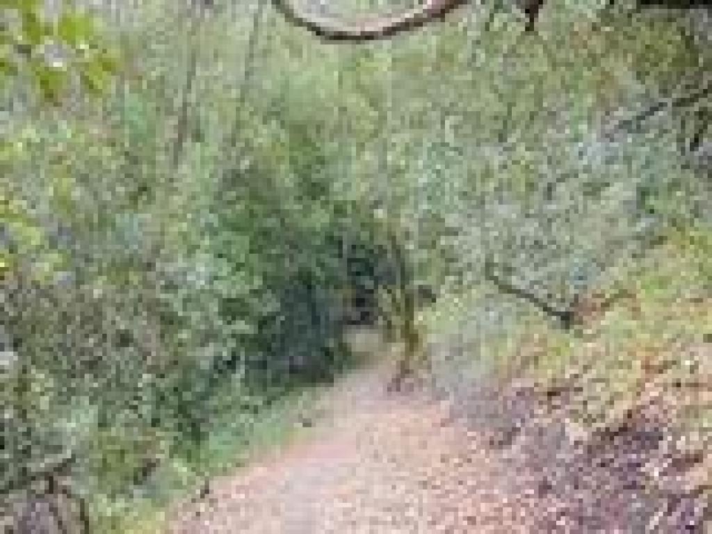 Dropping into a canyon