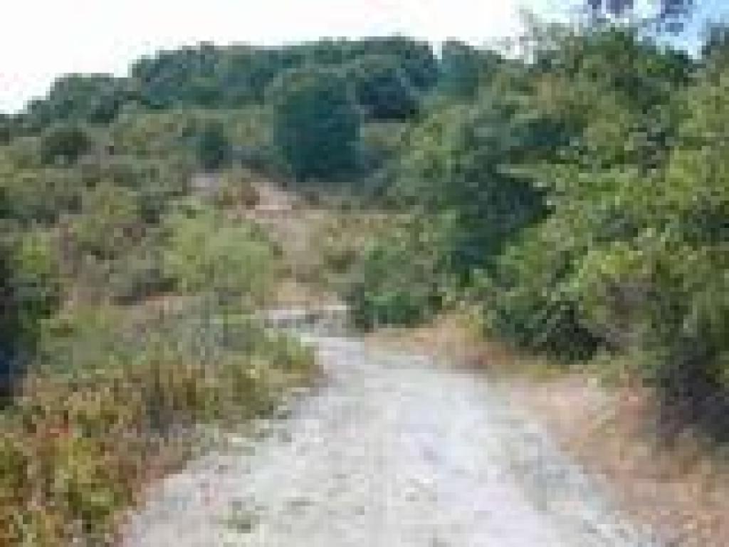 Approaching junction