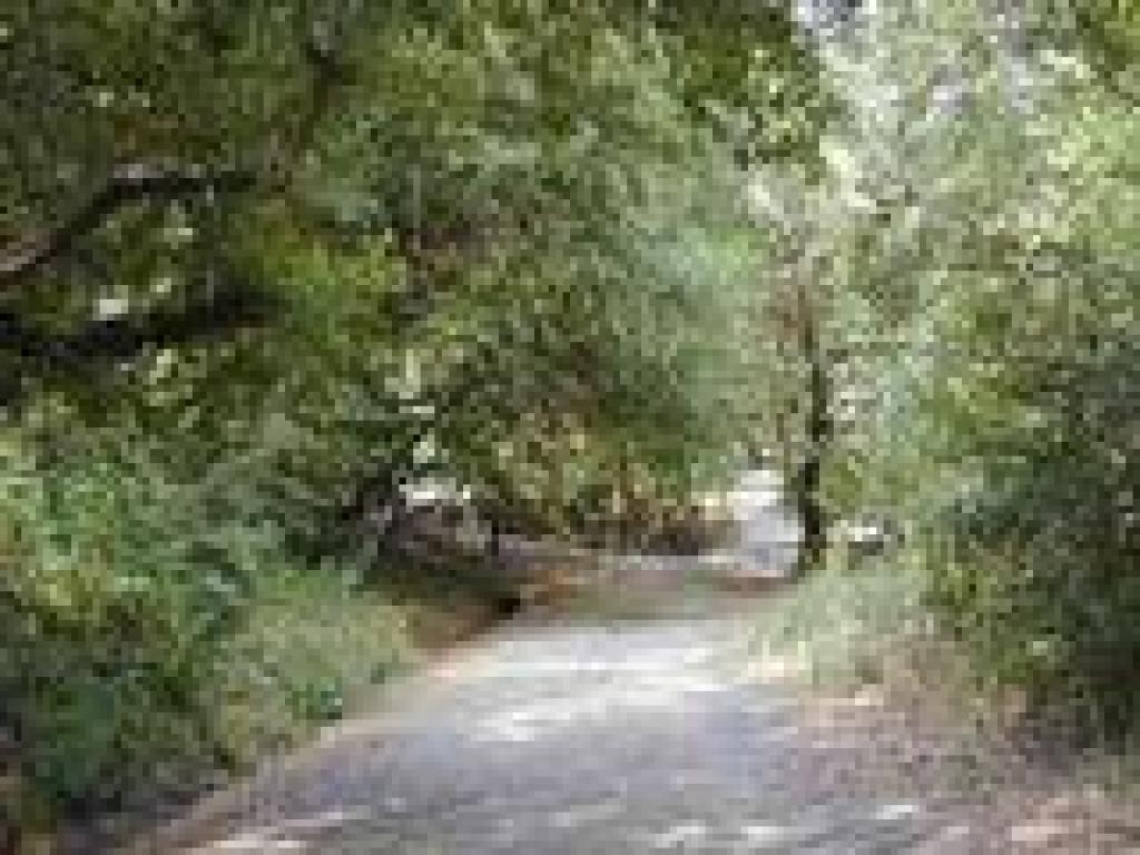 Approaching junction