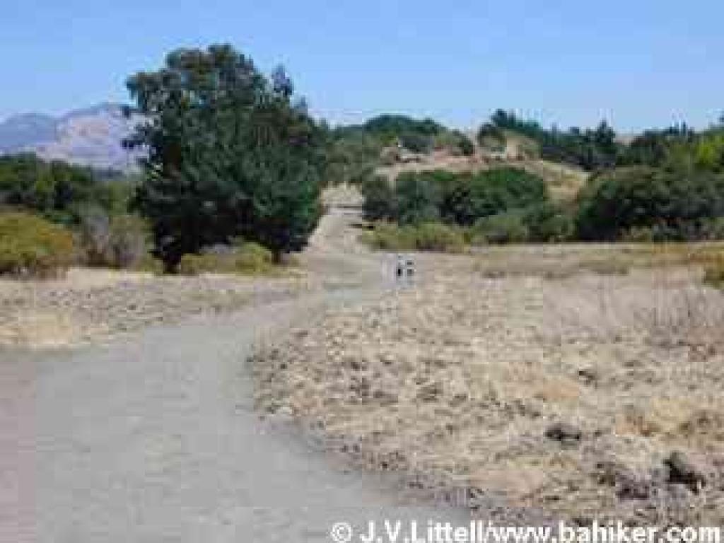 Level stretch near junction with Big Oak Trail