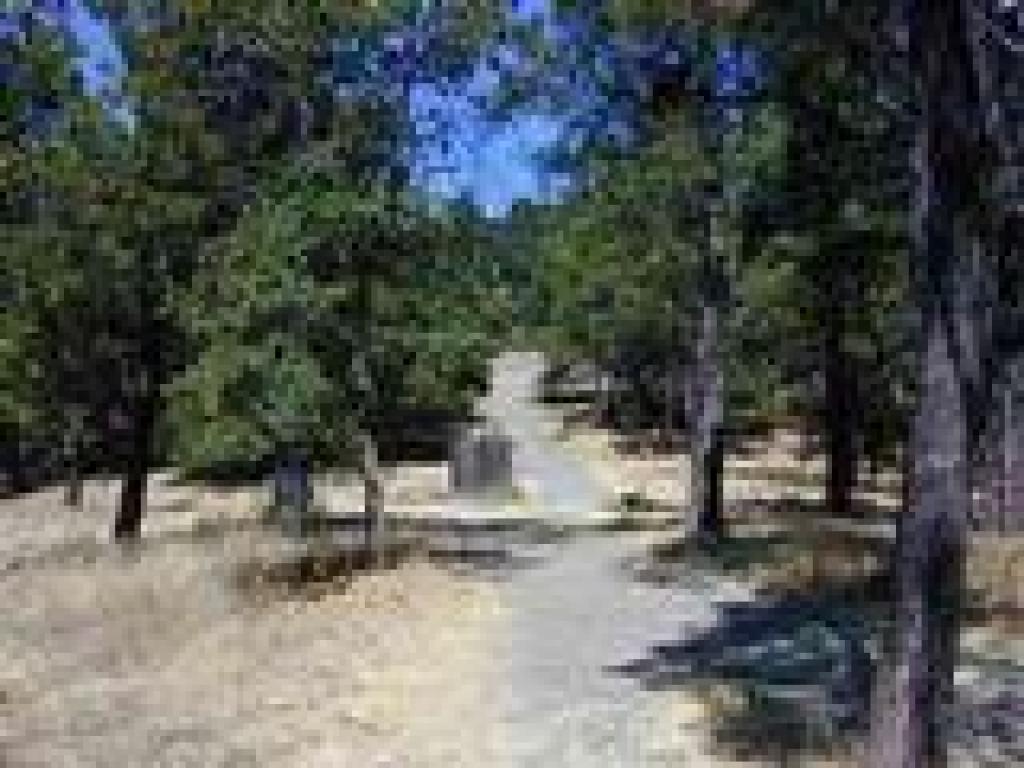 Path ends at the fire road