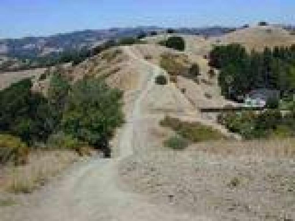 View down the trail