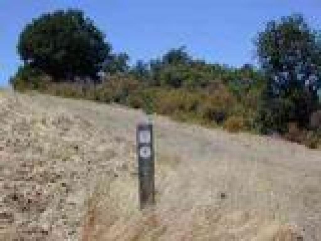 Junction