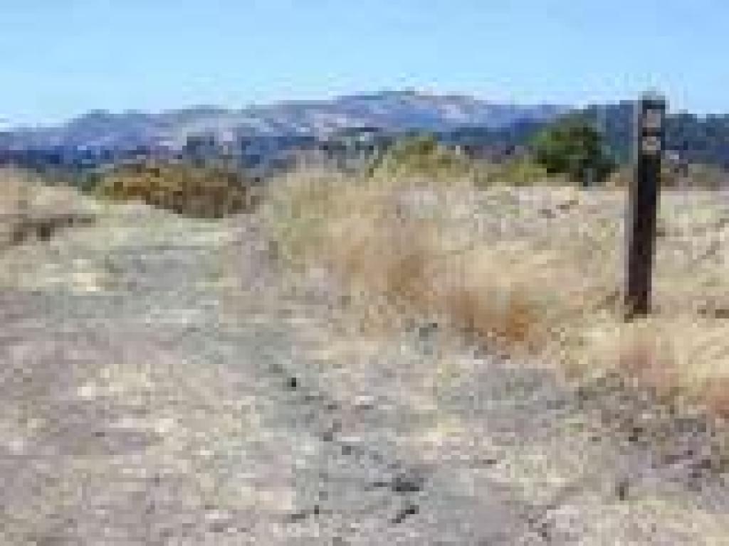 Big Oak Trail