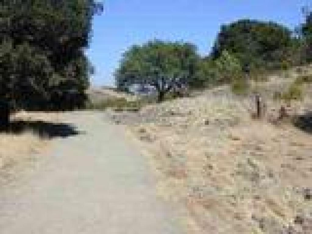Junction with Lafayette Reservoir Trail