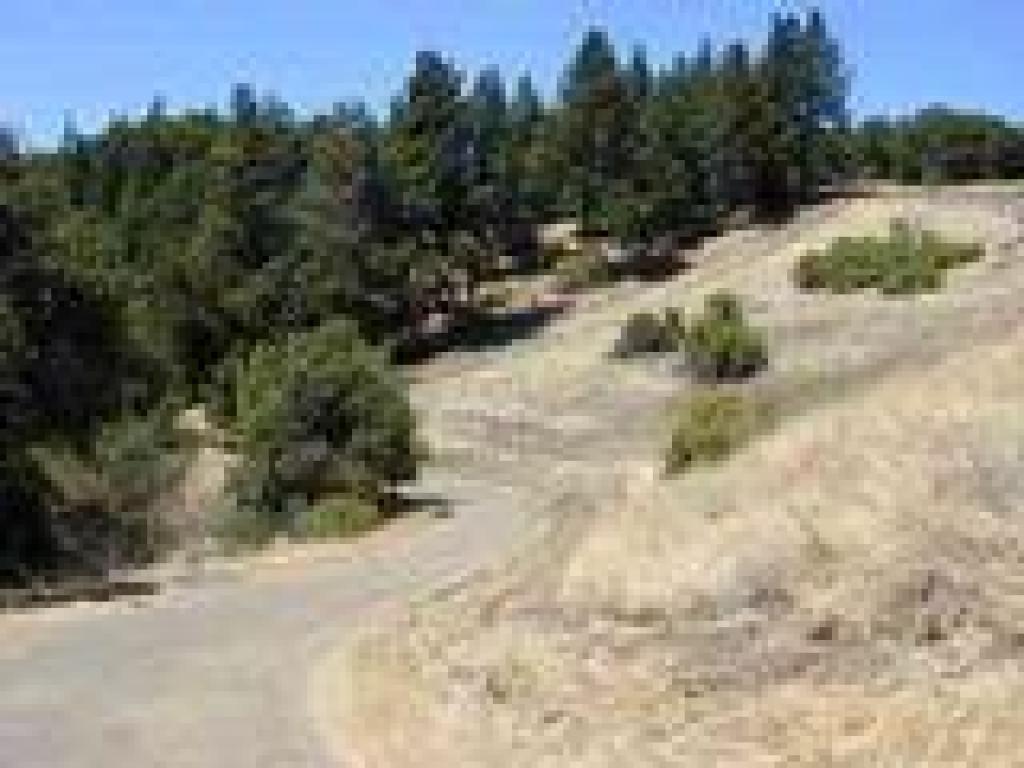 Rim Trail