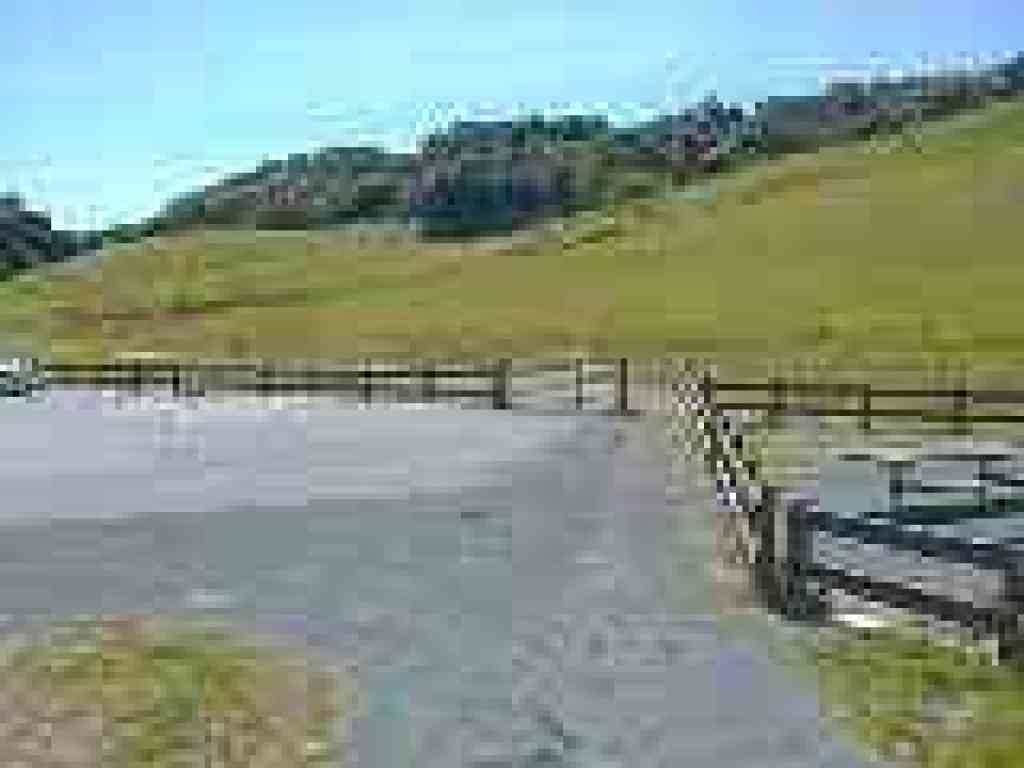 Edge of parking lot