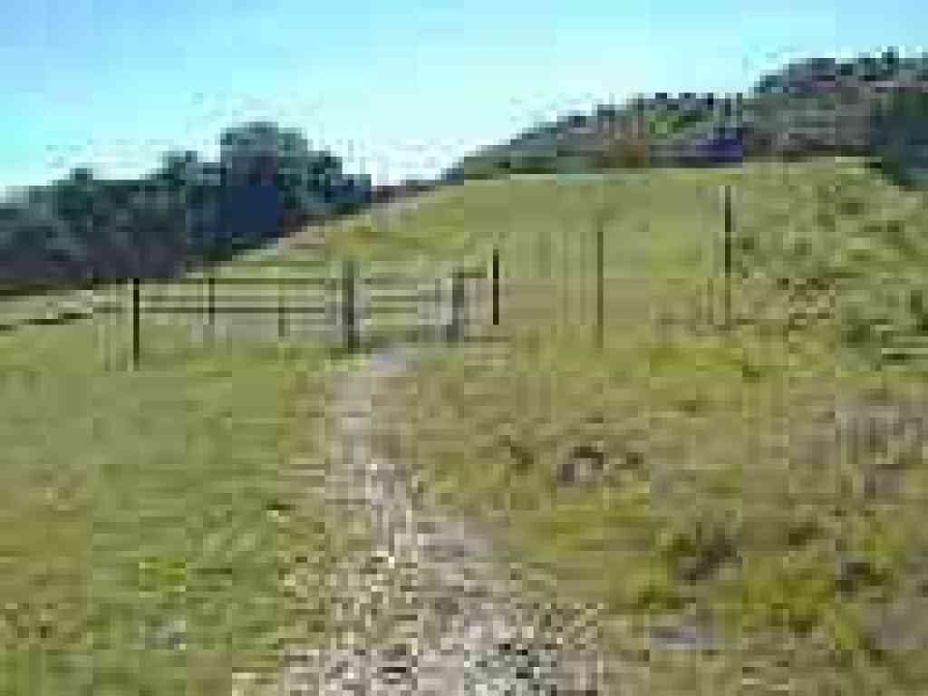 Crossing through a cattle gate