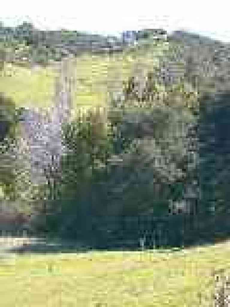 Looking across the valley