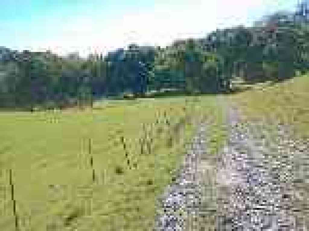 Near Corral Camp