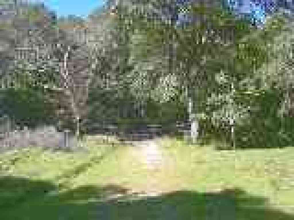 Uphill, along the creek