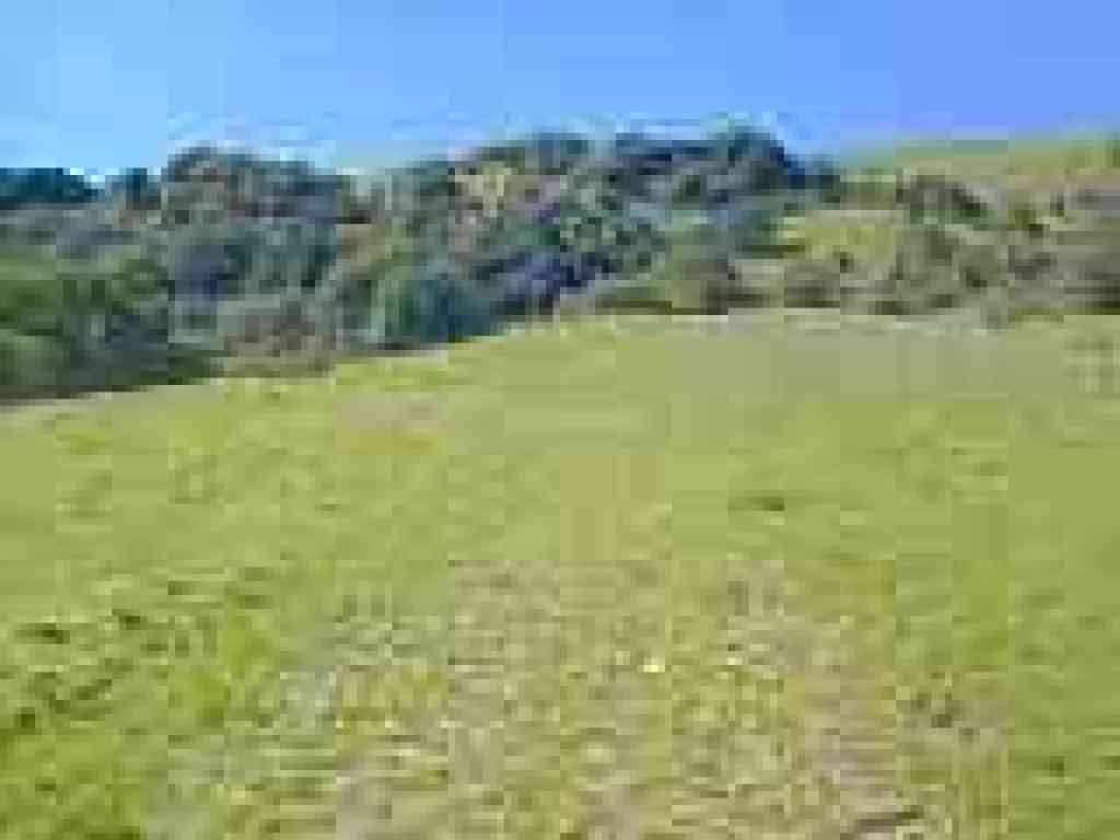 Trail splits around a soggy spot