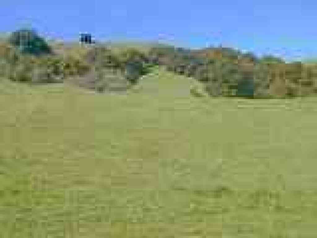 Looking uphill