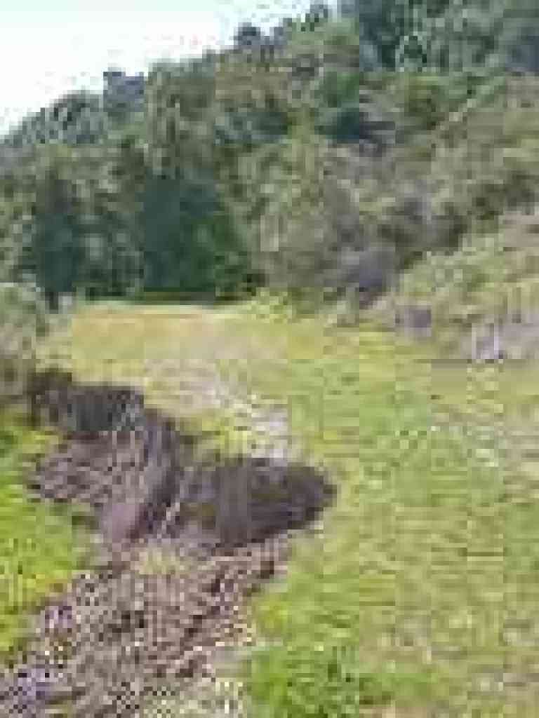 Little landslide