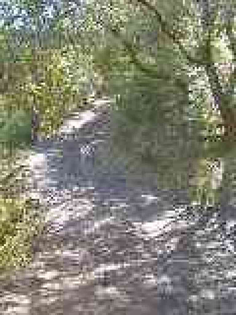Muddy stretch