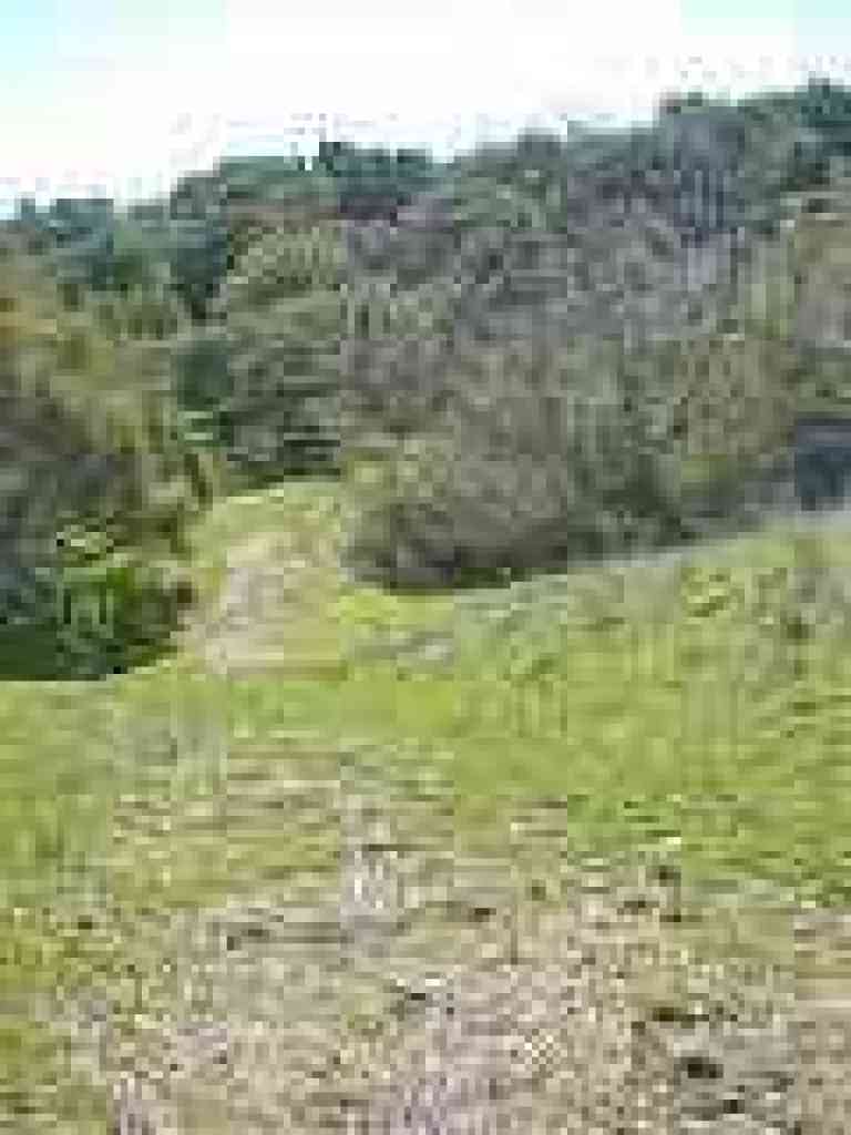 Just before a creek
