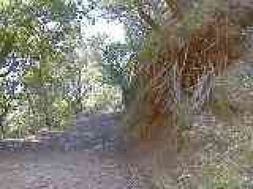 Eroded hillside