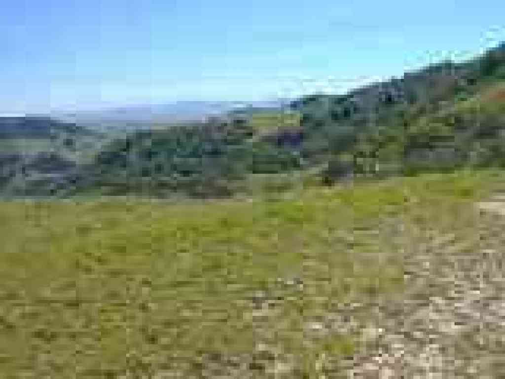 View south