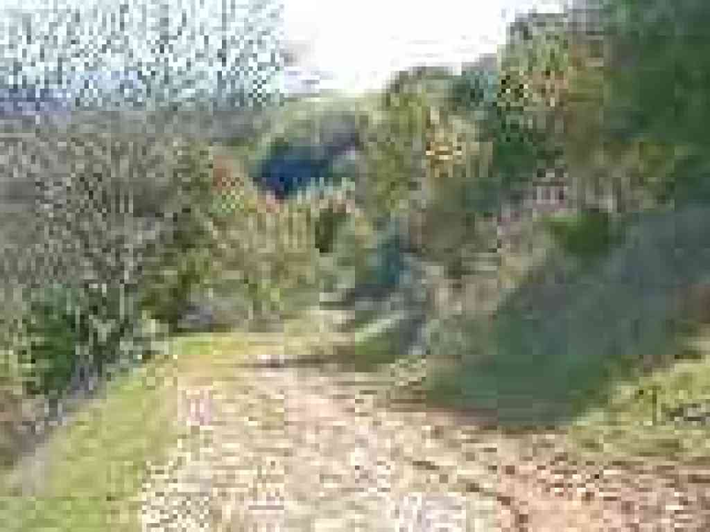 Downhill