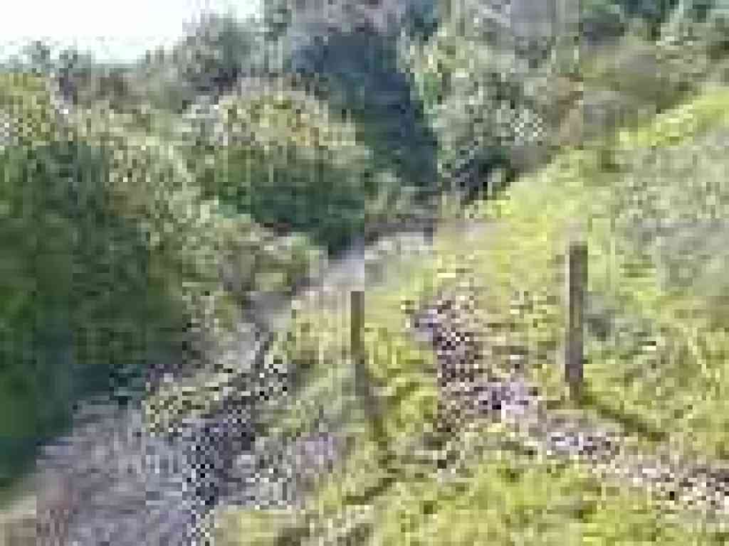 Anothe closed side trail