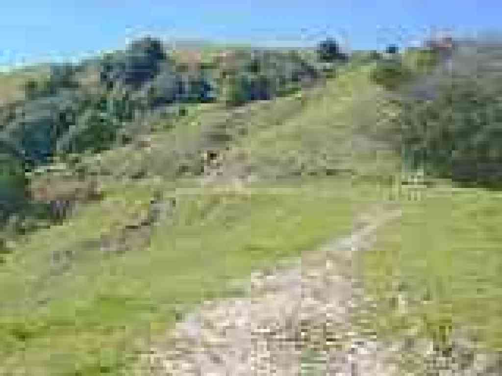 Unusual flat stretch