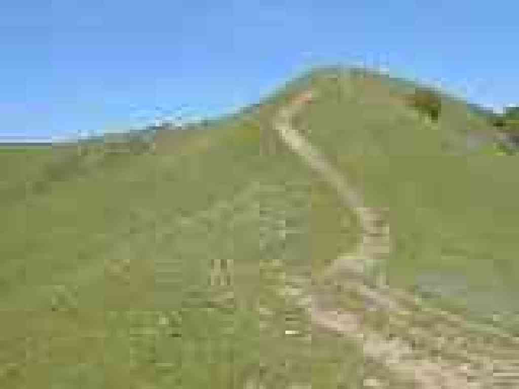 More climbing