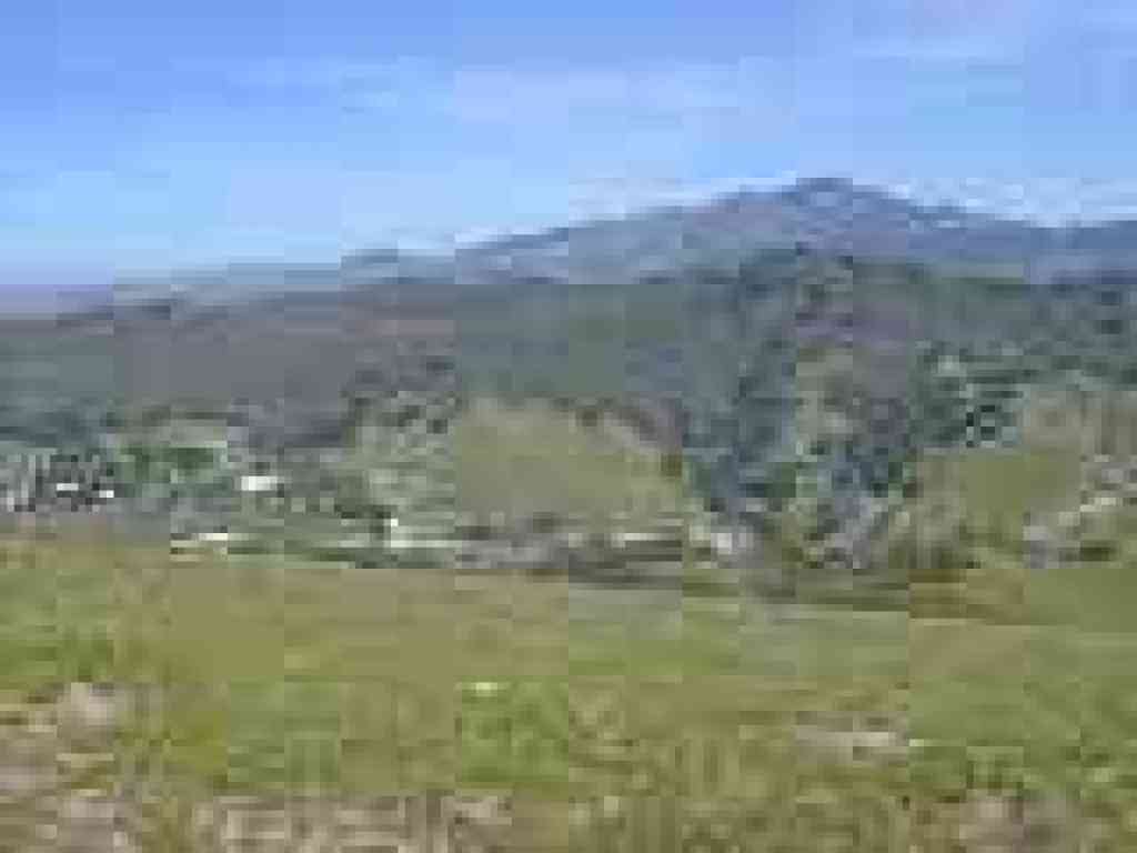 View to Mount Diablo