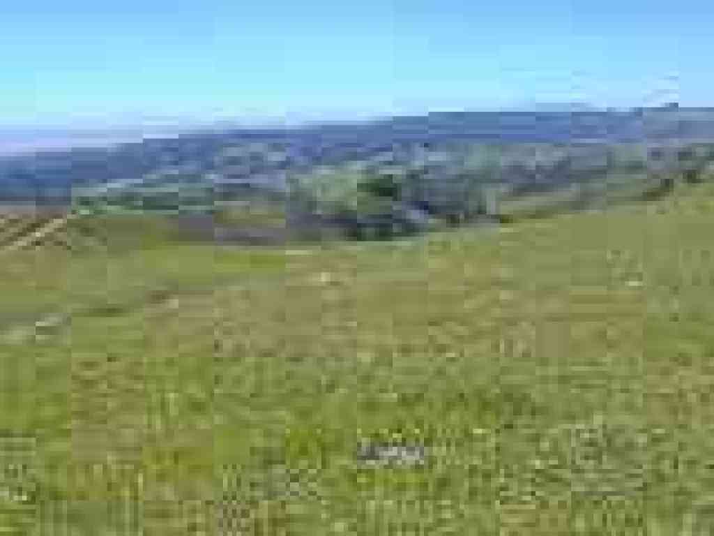 East