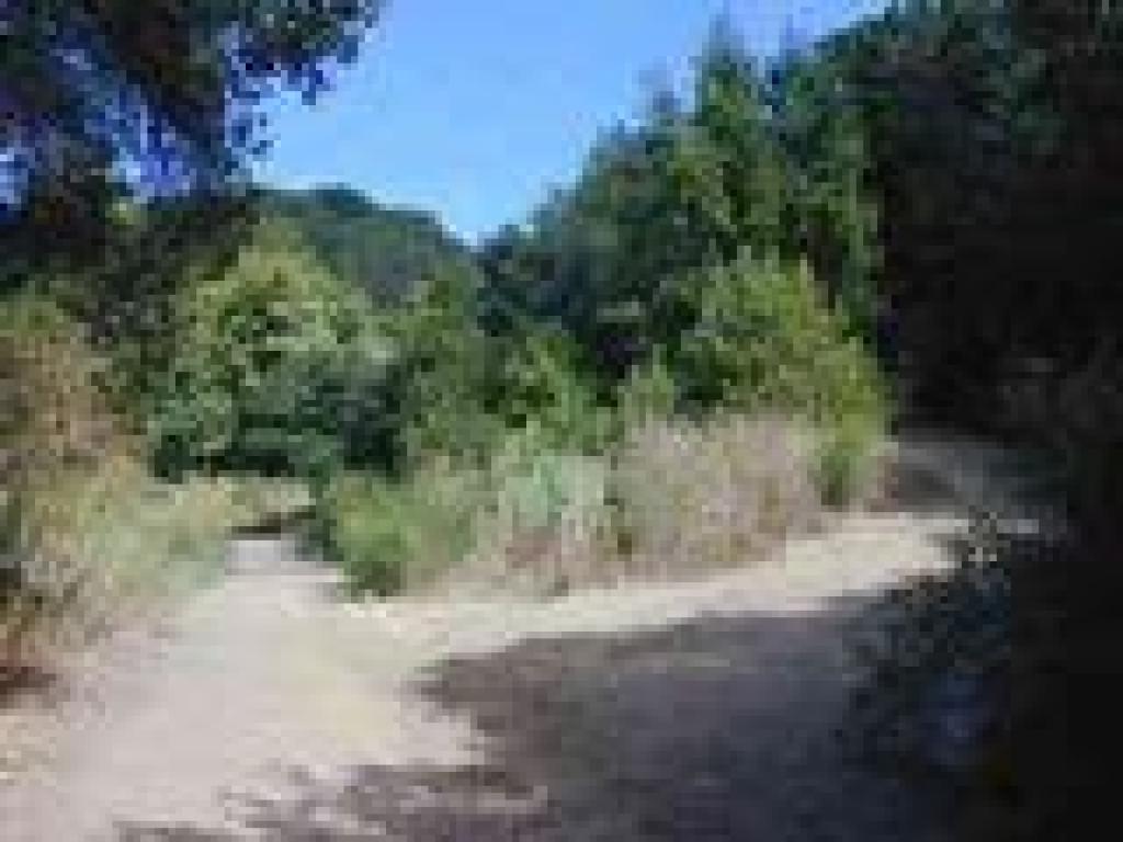 Junction