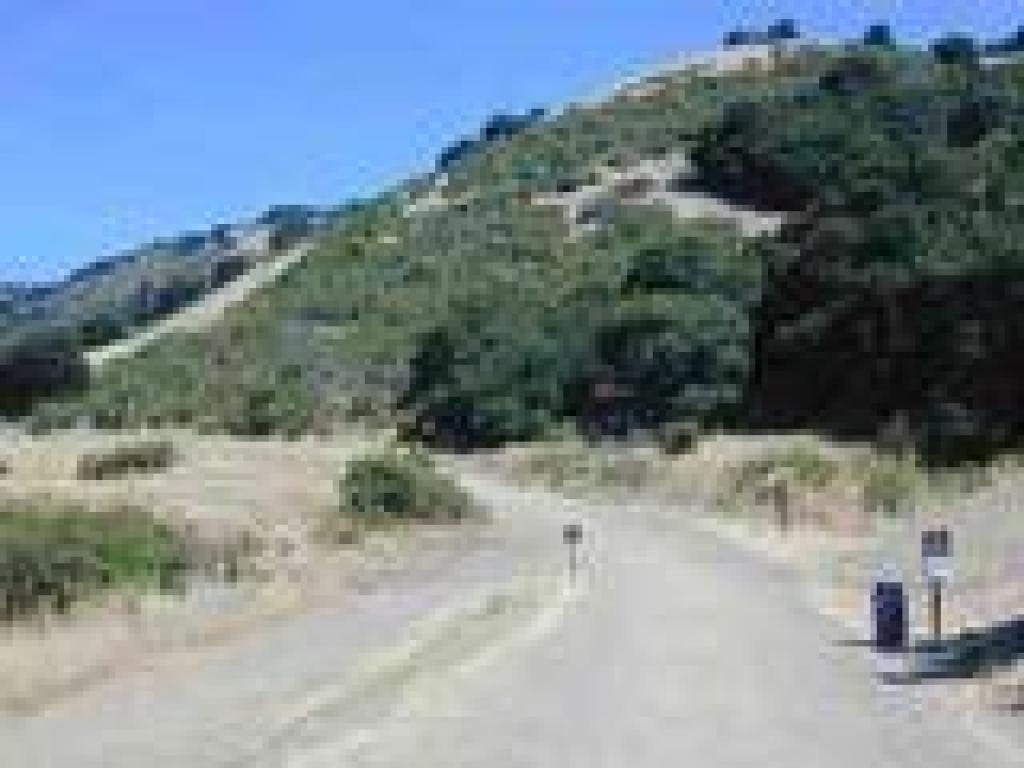 Leona Canyon Trail