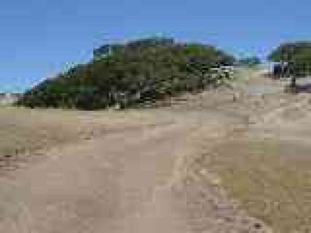 Rocks and oaks on a hilltop