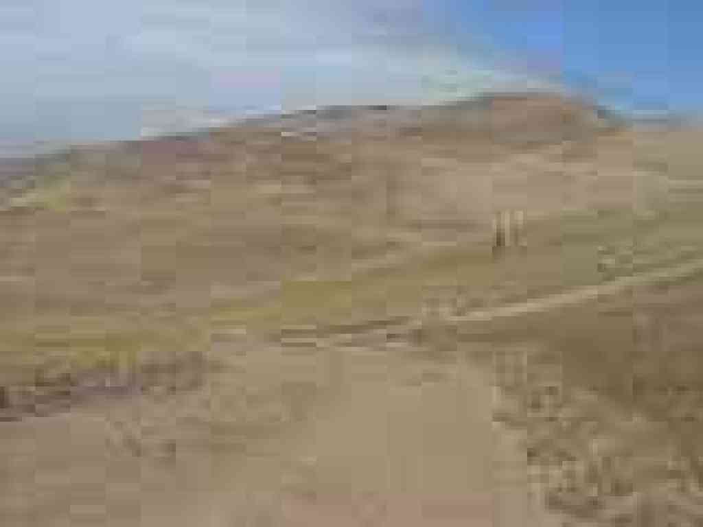 Treeless grassland