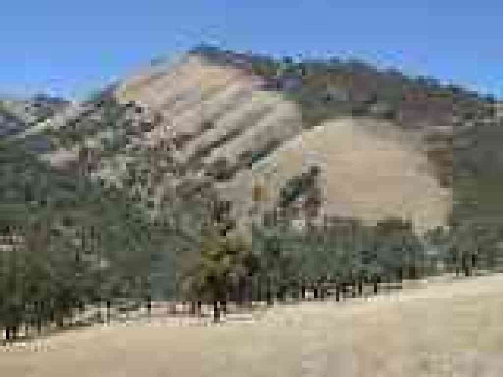 View back