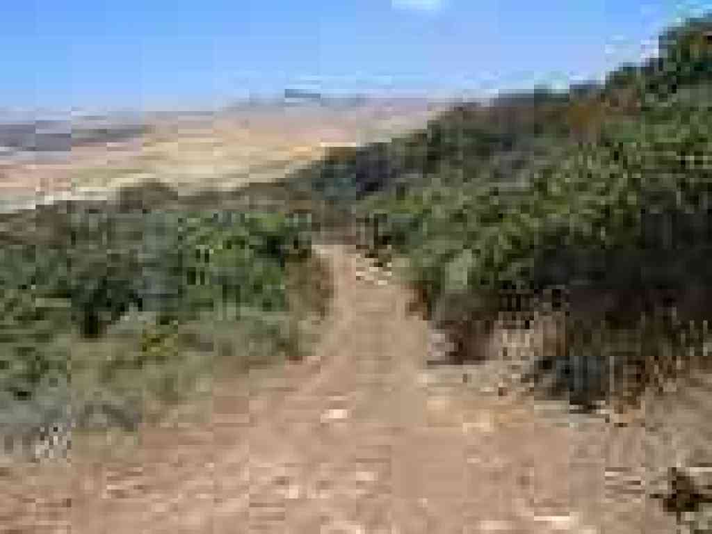 Descending through chaparral