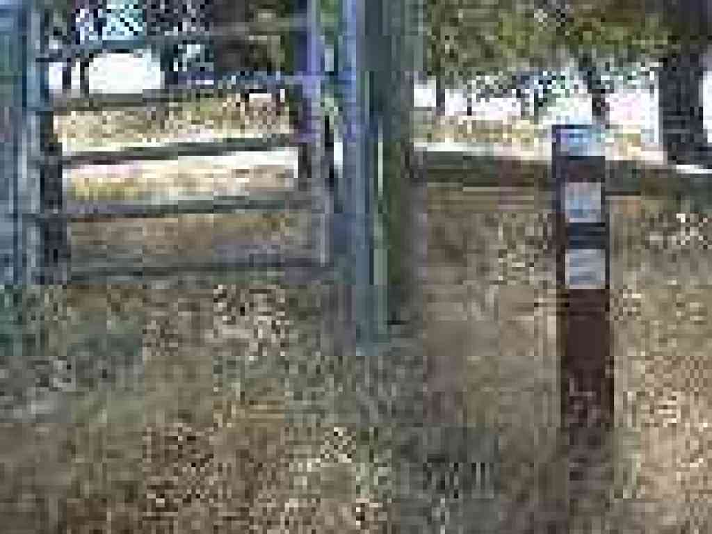 Junction