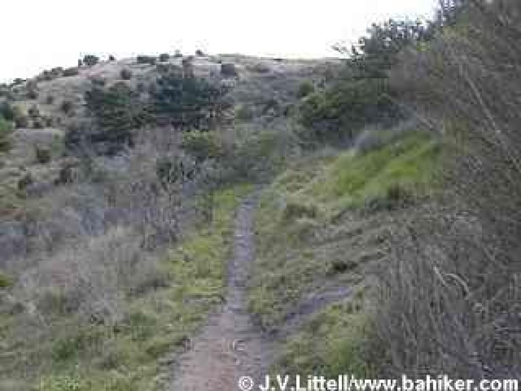 Climbing through grassland