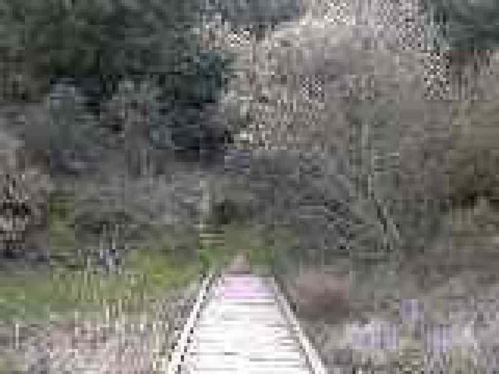 Boardwalk
