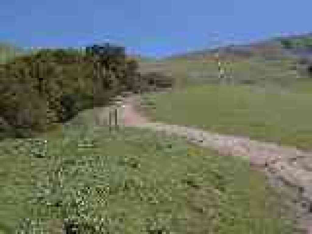 Near the creek again