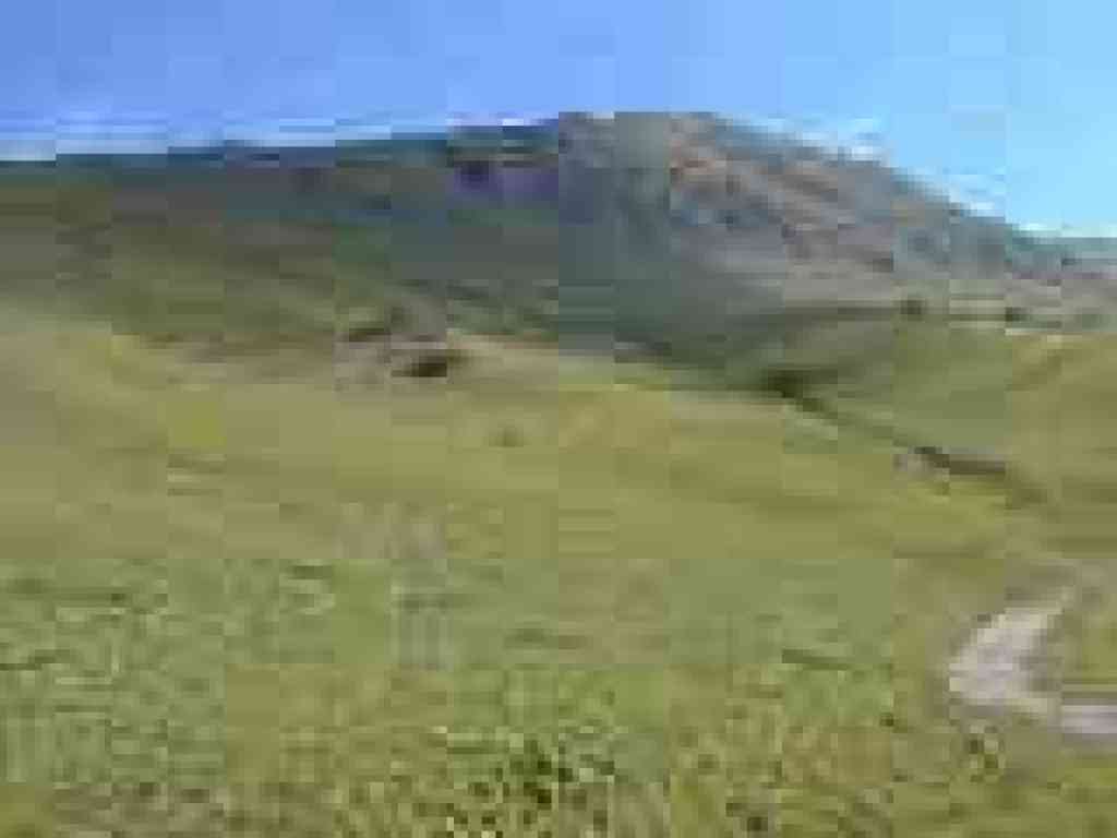 Another nice view uphill