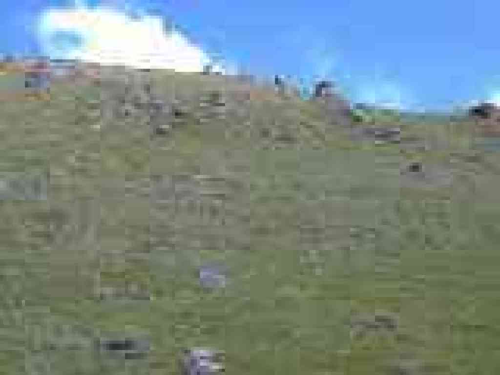 Rock-dotted hillside