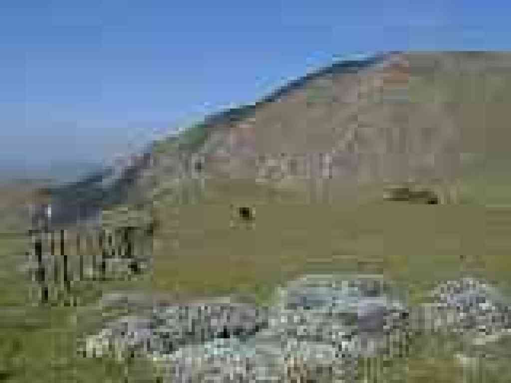 View back uphill